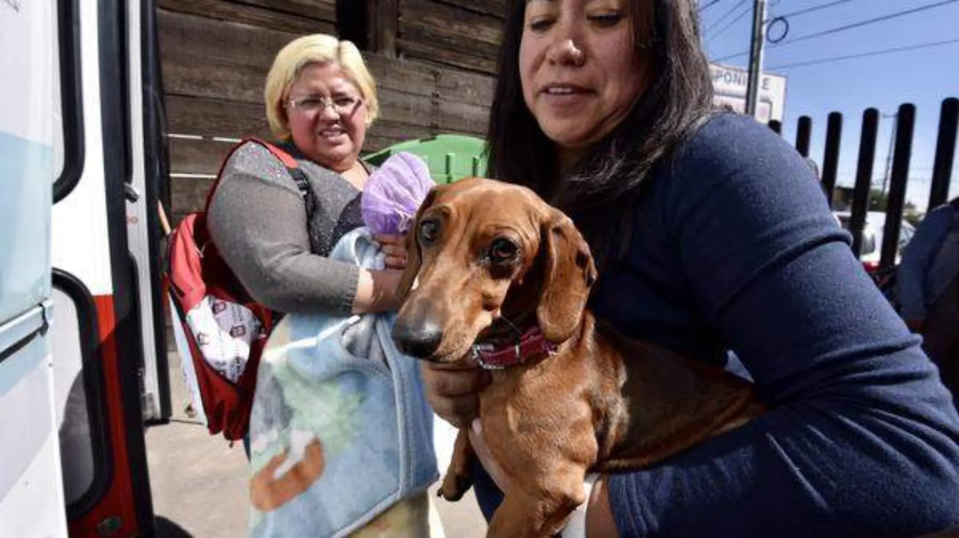 La desparasitisación, esterilización y vacunación también son parte de esta responsabilidad